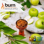Табак Burn Famous Apple (Фэймоус Эйпл) 100г Акцизный
